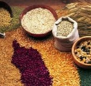 Grains, Grains, Grains