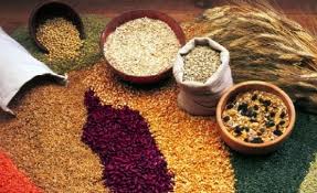 Grains, Grains, Grains