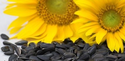 Seed of Good Health