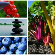 Superfoods for Super Health